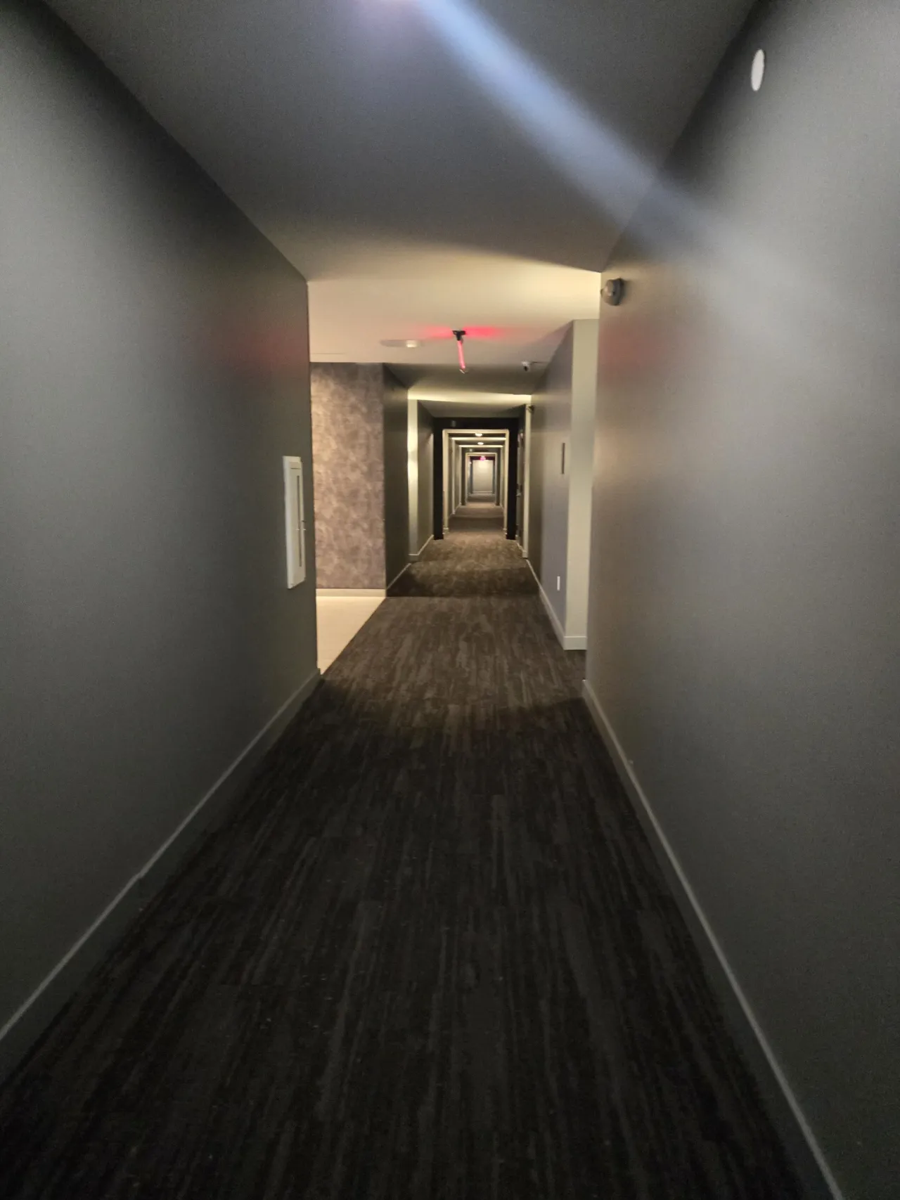 Carpeted building corridor after commercial cleaning in New Jersey