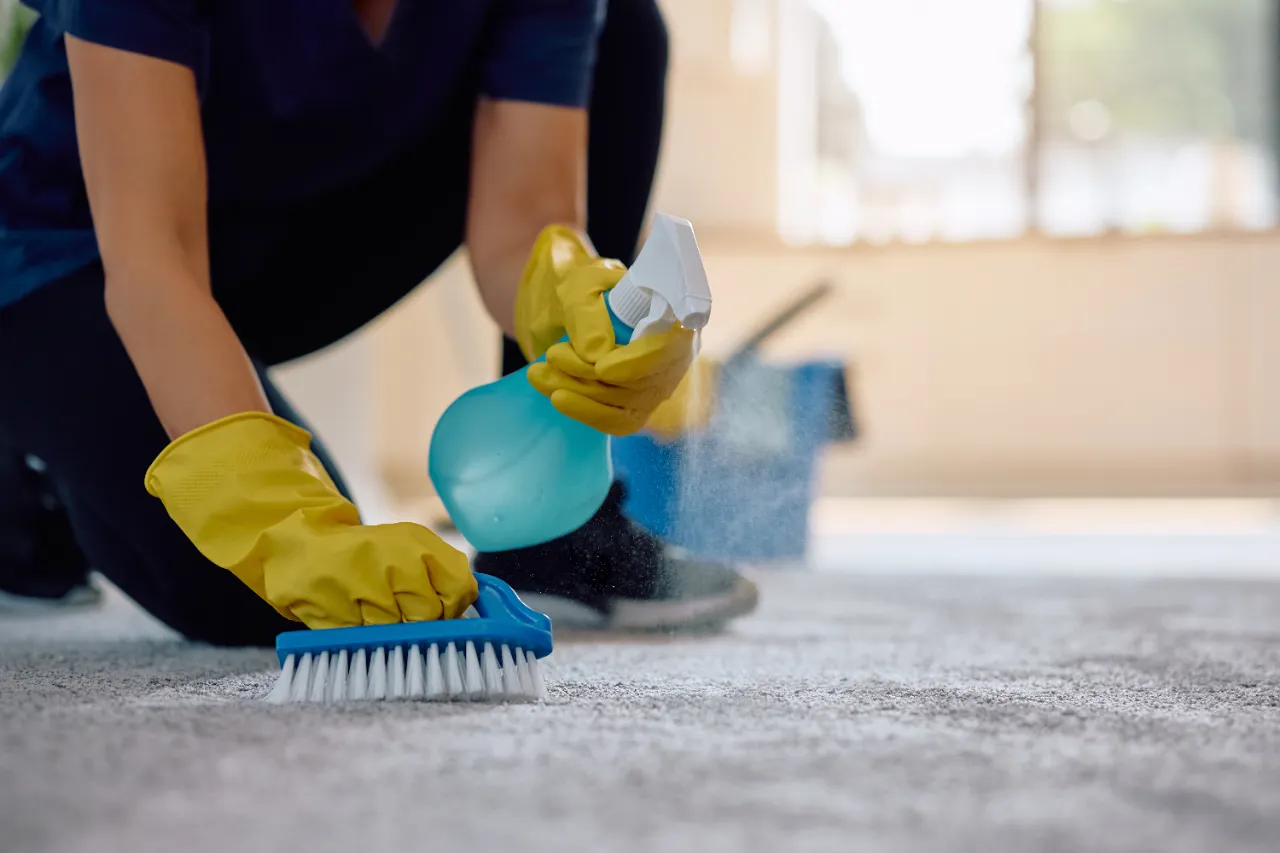 Carpet spot treated with a spray bottle in New Jersey